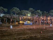 2025 함평 겨울빛축제 송년의밤 낙화놀이