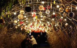 2025 함평 겨울빛축제 현장스케치 3