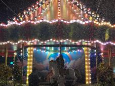 2025 함평 겨울빛축제 현장스케치 4