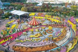 하늘에서 본 국향대전