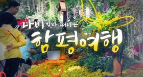 하이라이트