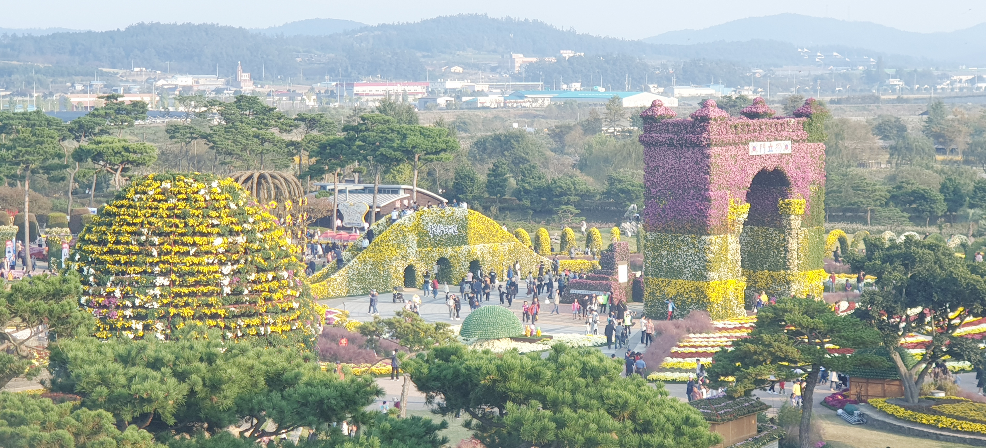 국화향기 가득한 함평엑스포공원