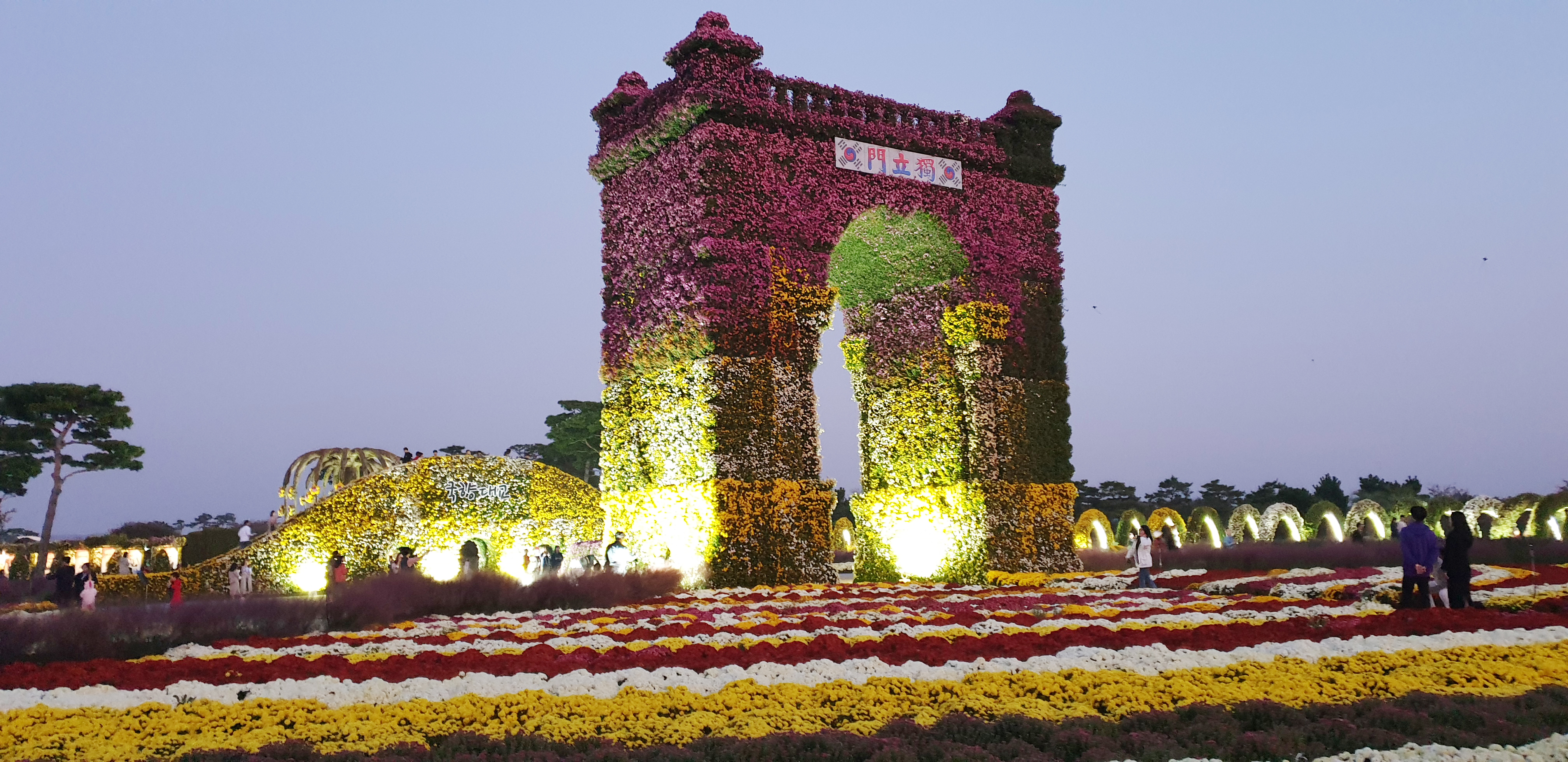 야간에 무르익은 함평국화축제장 독립문