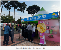 함평군, 국향에 달콤함 더했다…‘함평 과일 홍보관’ 발길