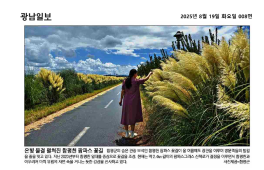 은빛 물결 펼쳐진 팜파스 꽃길