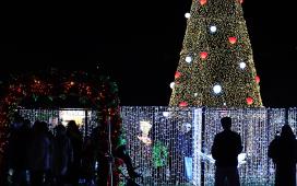 함평군, 내비게이션으로 ‘2025 함평 겨울빛축제’ 알린다