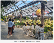 함평군, 우주 품은 마법의 정원 선보여…관광객 호평 일색