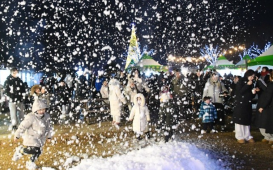 하늘에선 ‘버블 눈’, 땅에선 ‘불멍’~함평의 마법 같은 겨울밤