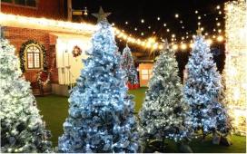 당신의 겨울 로맨스, 함평에서 '인생샷'으로 남기세요