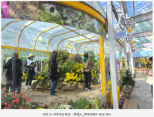 국향 속 나비의 날갯짓…함평군, 생태축제의 새 장 열다