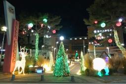 전남 함평군, 겨울빛축제 맞아 읍 시가지 전체가 ‘빛의 도시’로 변신