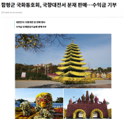 함평군 국화동호회, 국향대전서 분재 판매 수익금 기부