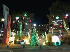 함평군 천지종합복지관, 빛의 정원 조성…도심 곳곳 ‘빛의 향연’