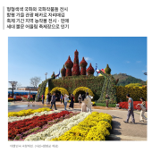 함평 '가을 관광의 꽃' 대한민국 국향대전 (지방소멸시대 극복현장을 가다 특집기사호)